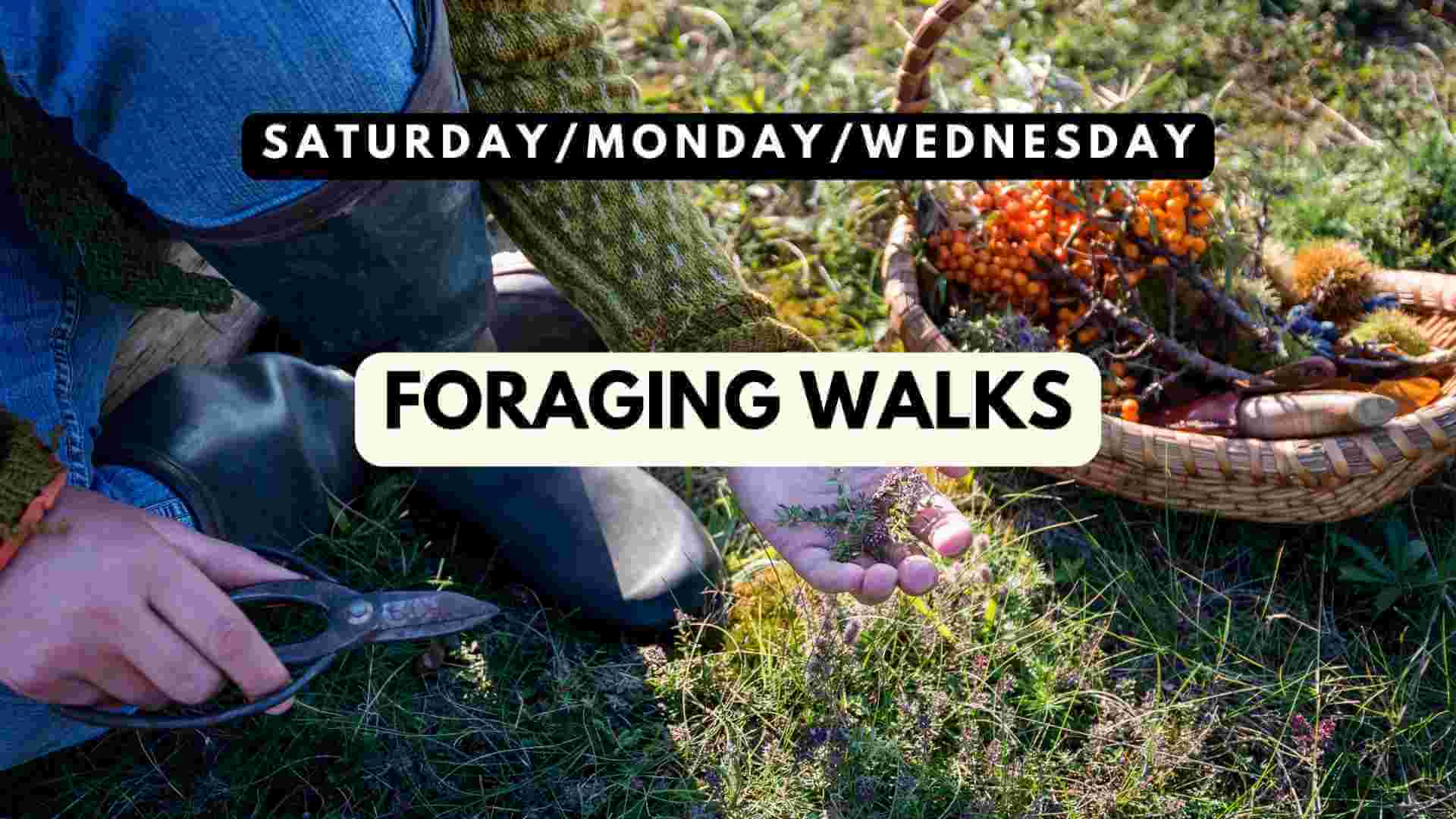 FORAGING GLOUCESTERSHIRE
